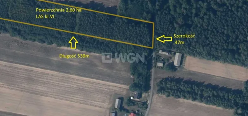 Działka na sprzedaż Borki